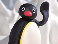 Pingu filmpjes