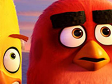 Angry Birds filmpjes