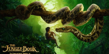 Door de Ogen van Mowgli in 360