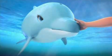 Redden de Dolfijnen