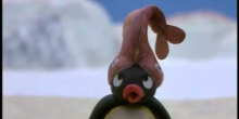 Pingu gaat Tennissen